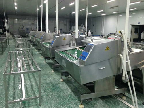 食品滾動包裝機(jī)與電腦圖文設(shè)計(jì)的完美融合 現(xiàn)代包裝工業(yè)的核心驅(qū)動力